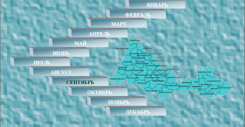 Состояние животноводства в сельскохозяйственных организациях области за январь-август 2019 года