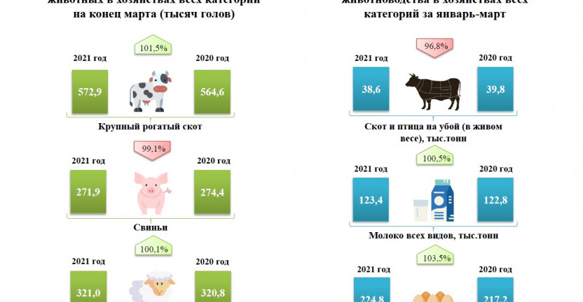 Поголовье скота и производство основных продуктов животноводства в хозяйствах всех категорий за январь-март
