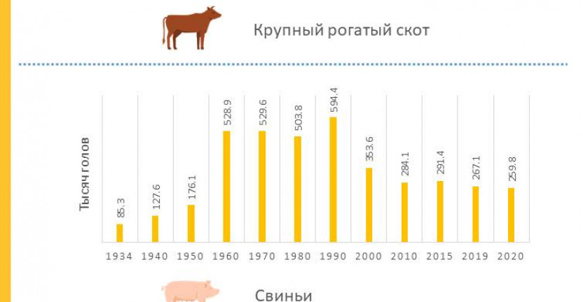 Поголовье скота в хозяйствах всех категорий