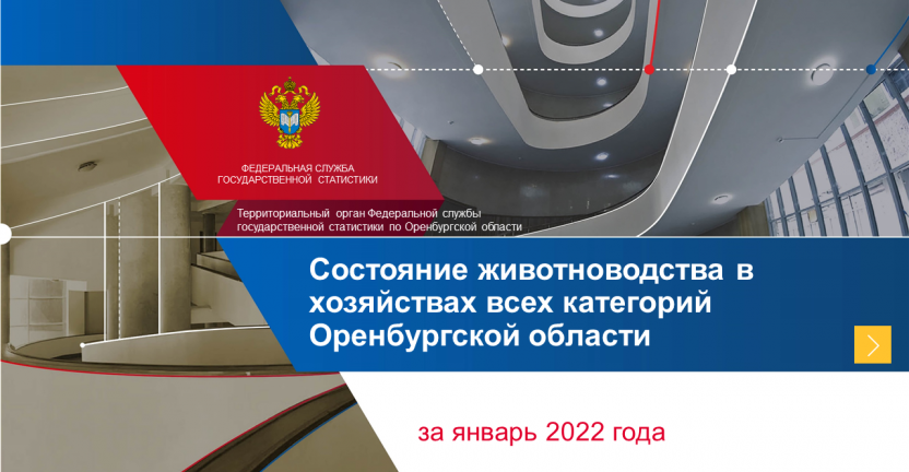 Состояние животноводства в хозяйствах всех категорий Оренбургской области за январь 2022 года